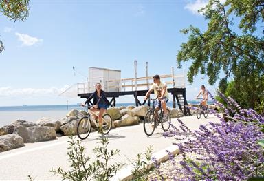 Walks and cycling near 5-star campsite Bois Soleil, beachfront campsite mobile homes, studios, camping pitches near Royan in Charente-Maritime