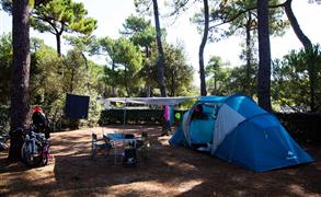 Tent pitch next to the beach | Charente-Maritime