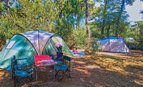 Tent pitch - Beachfront campsite set in the forest in Charente Maritime