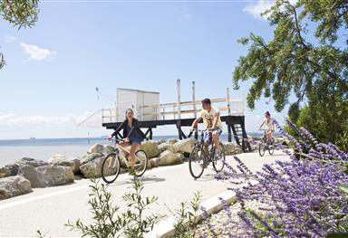 cycling - Sport and relaxation - Camping Saint Georges de Didonne 