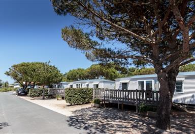 Mobile home with 3 bedrooms near beach - Camping à Saint Georges de Didonne, Charente-Maritime