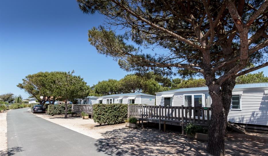 Mobile home with 3 bedrooms near beach - Camping à Saint Georges de Didonne, Charente-Maritime
