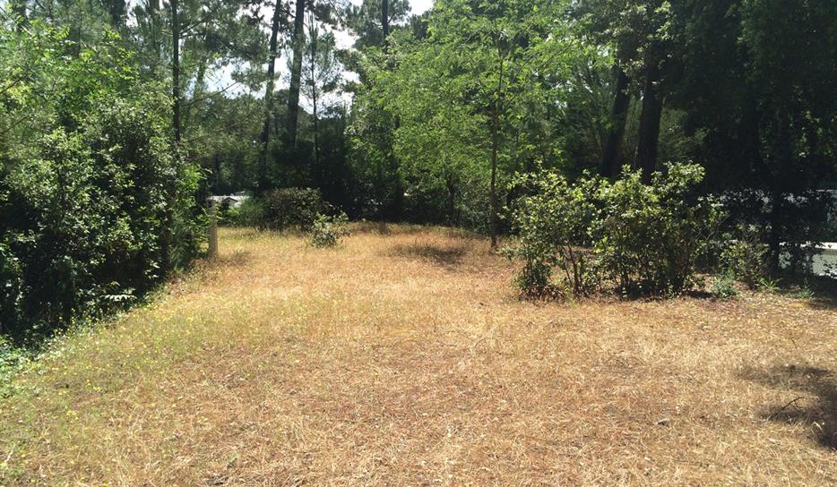 Tent pitch - Beachfront campsite set in the forest in Charente Maritime