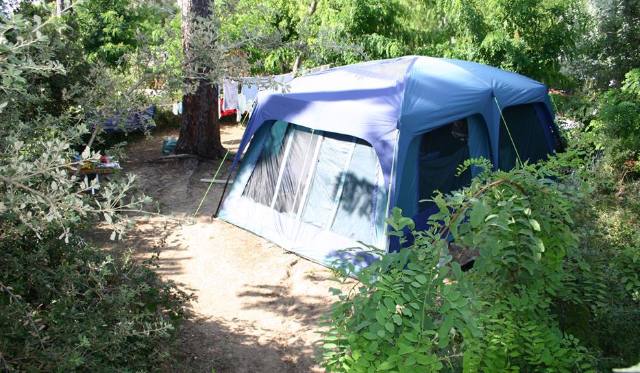 Tent pitch - camping in nature by the sea in Charente-Maritime