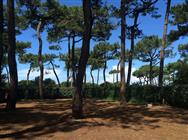 Tent pitch next to the beach | Charente-Maritime