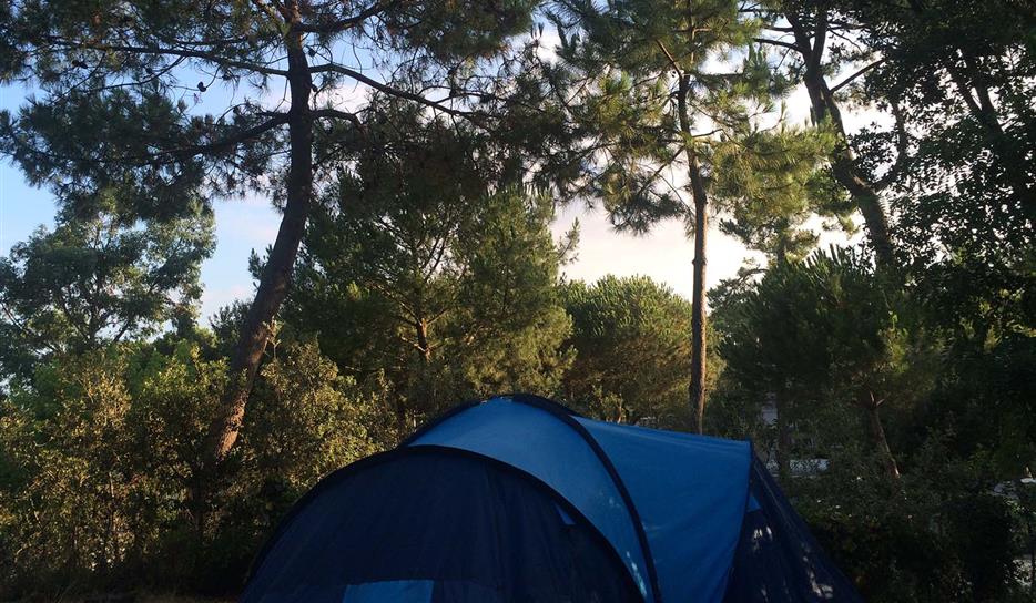 Tent pitch - camping in nature by the sea in Charente-Maritime