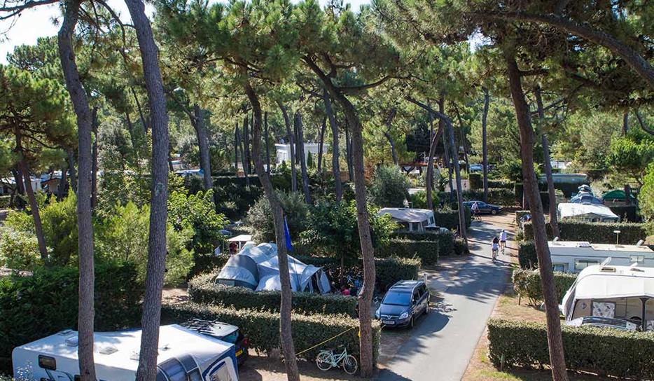 Beachfront camping pitch -  Charente-Maritime