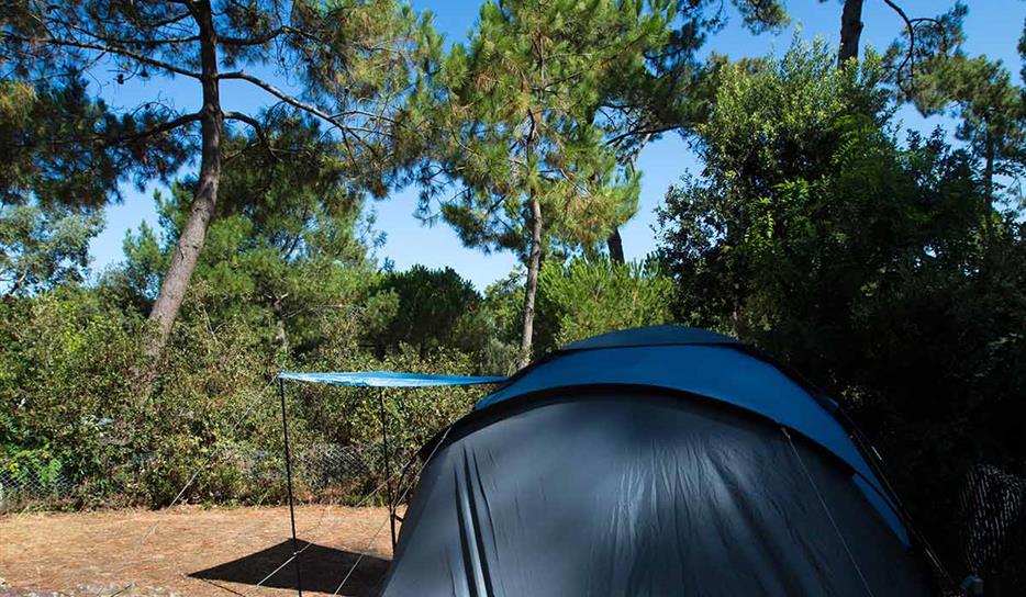 Tent pitch - camping in nature by the sea in Charente-Maritime