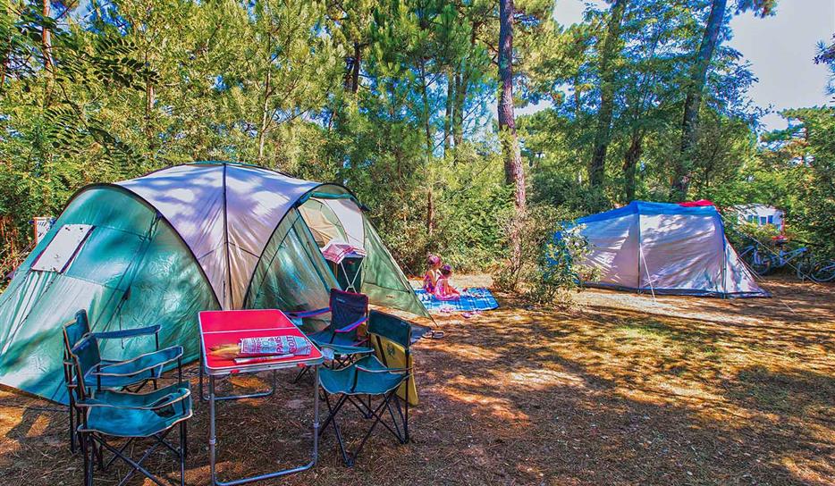 Tent pitch - Beachfront campsite set in the forest in Charente Maritime