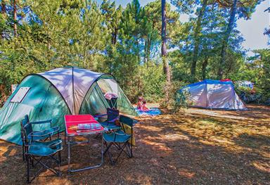 Tent pitch - Beachfront campsite set in the forest in Charente Maritime