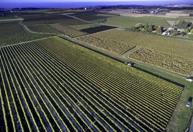 Visite du Médoc