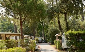 Parc Les Pins